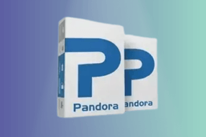 Pandora Tool Rents 48 Hour